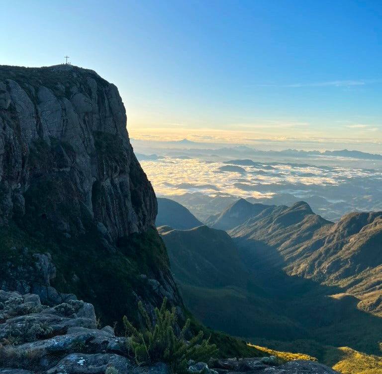 Você se considera uma pessoa corajosa?