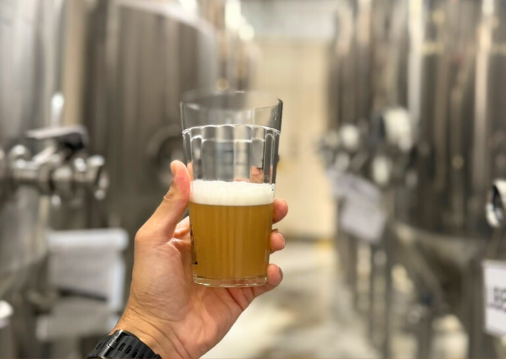 producao-cerveja-sem-alcool-luci