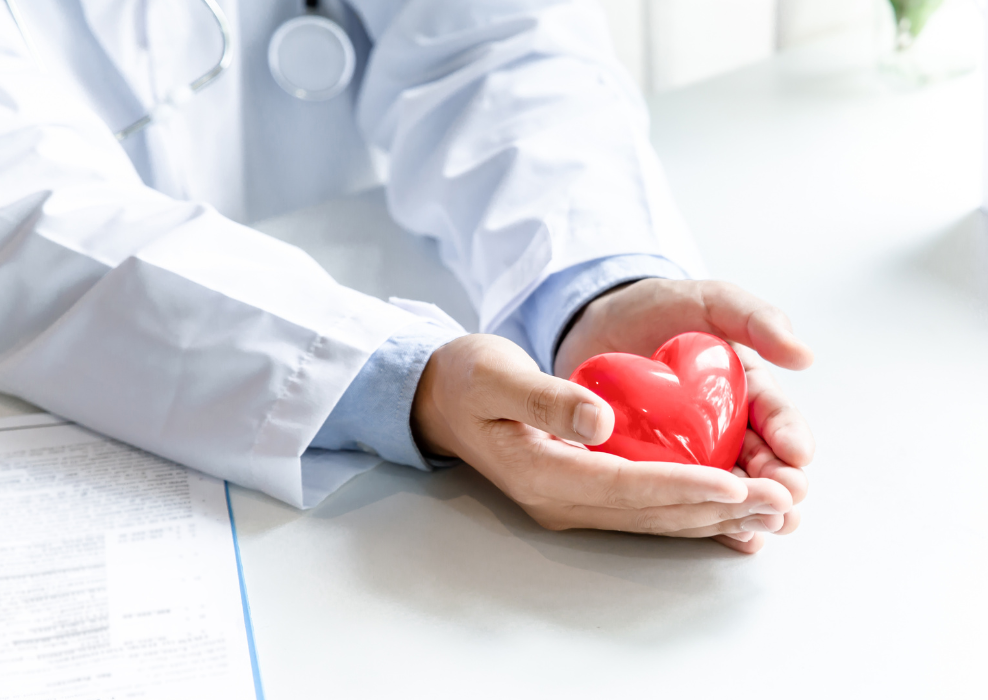 Fígado abstêmio: o que muda em 24h, 7 dias e 30 dias sem álcool — e como a cerveja sem álcool mantém o sabor